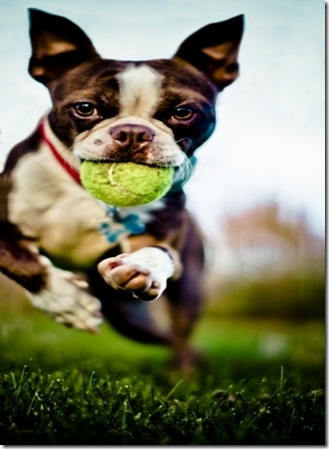 55dc308b89b9b49d674101f38a6c5c37 55dc308b89b9b49d674101f38a6c5c37