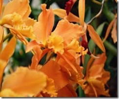 71696_10151341375458271_888030645_n